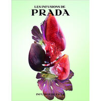 Infusion de Figue  100ml-209715 Infusion de Figue  100ml-209715 3